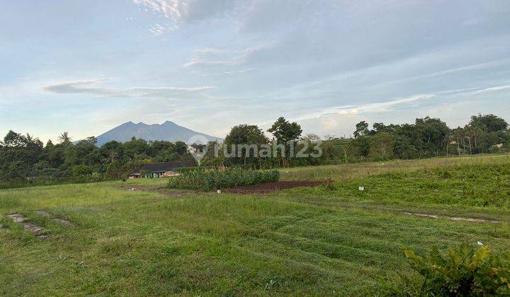 Jual tanah murah 3000m² area wisata Megamendung puncak 2