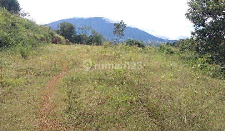 Jual Tanah 500m² di jln waru doyong alternatif puncak Cisarua  2