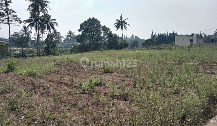 Jual tanah 500m² di jln Munjul des Sukamanah Megamendung puncak 2