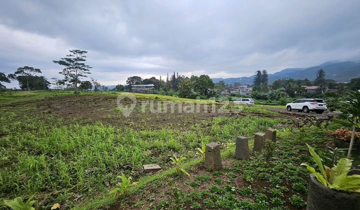 Tanah Dijual 1000M2 di Cisarua Puncak Megamendung Bogor
