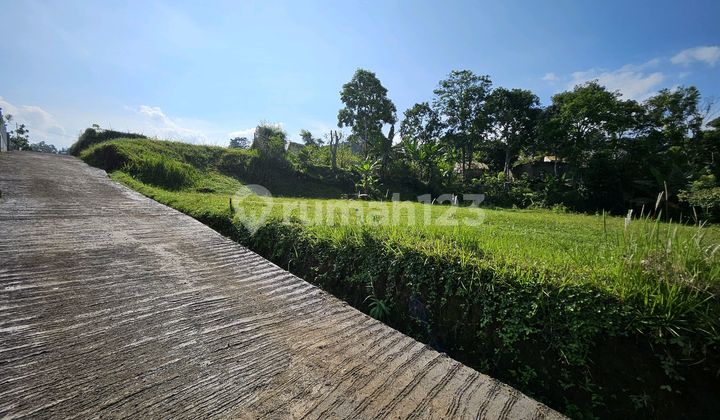 Tanah Kavling Dijual di Megamendung Puncak Bogor Tanah Kavling Dijual di Megamendung Puncak Bogor