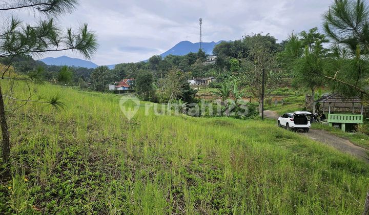 Dijual Tanah Kavling Di Citeko Cisarua Kec Cisarua