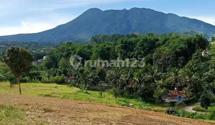 Land for Sale Near Tourist Attractions in Cisarua Puncak, Close to the River. Land for Sale Near Tourist Attractions in Cisarua Puncak, Close to the River.