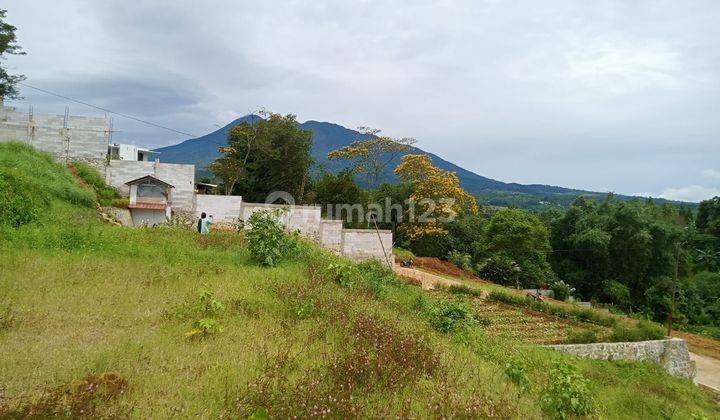 Tanah Kavling Di Jl Warudoyong Megamendung Puncak Bogor  2