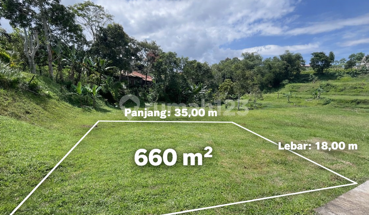 Jual Tanah Milik Luas 660M2 di Megamendung Dekat Cofe Munjul