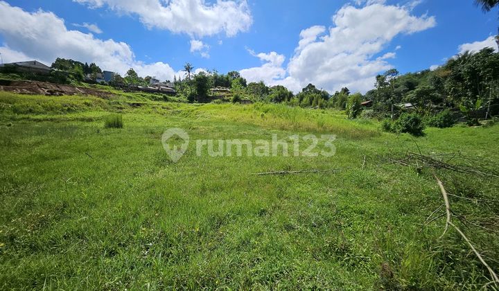 Shm Land For Sale In Cisarua Puncak Near River Shm Land For Sale In Cisarua Puncak Near River