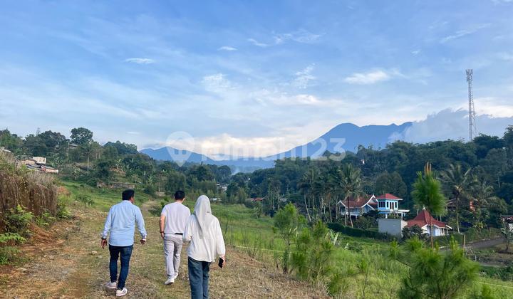 Di Jual Tanah Area Privat Shm Di Cisarua Puncak Bogor Di Jual Tanah Area Privat Shm Di Cisarua Puncak Bogor