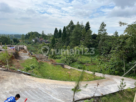 Jual Tanah Siap Bangun Di Cisarua Puncak Megamendung Area Villa Jual Tanah Siap Bangun Di Cisarua Puncak Megamendung Area Villa