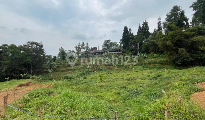 Tanah Dijual Di Megamndung Puncak Area Villa Villa