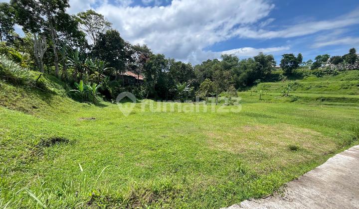 Di Jual Tanah Datar 660M2 di Jl Munjul Megamendung Dekat Wisata Di Jual Tanah Datar 660M2 di Jl Munjul Megamendung Dekat Wisata