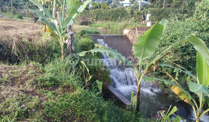 Tanah Shm Dijual Di Puncak Cisarua Dekat Kali Tanah Shm Dijual Di Puncak Cisarua Dekat Kali