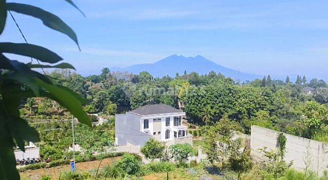 Tanah Dijual 1555m² Di Jl Warudoyong Megamendung Puncak 2