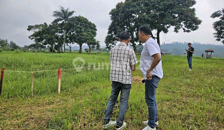 Jual Tanah Kavling di Cisarua Puncak Megamendung Bogor Jual Tanah Kavling di Cisarua Puncak Megamendung Bogor