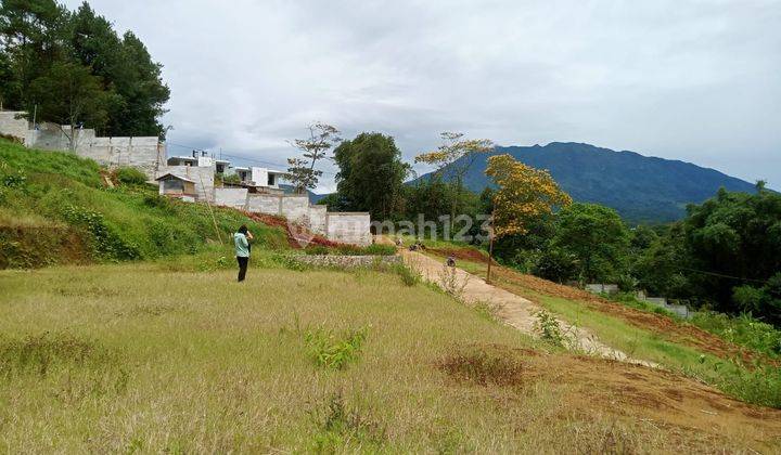 Tanah Kavling Di Jl Warudoyong Megamendung Puncak Bogor  1