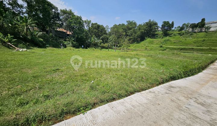 Jual Tanah Datar Dekat Coffe Munjul Megamendung