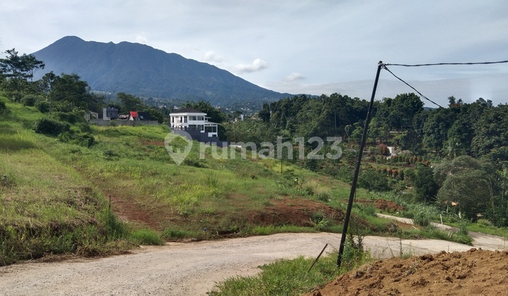 Tanah Siap Bangun Di Jl Warudoyong Desa Kuta Megamendung Puncak Tanah Siap Bangun Di Jl Warudoyong Desa Kuta Megamendung Puncak