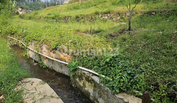 Tanah Siap Bangun Dekat Kali Di Megamendung Puncak Tanah Siap Bangun Dekat Kali Di Megamendung Puncak