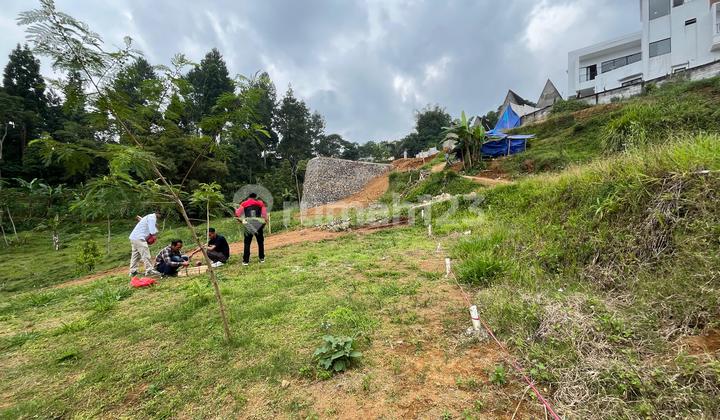 Di Jual Tanah Murah Shm Luas 400m2 Di Megamendung Puncak