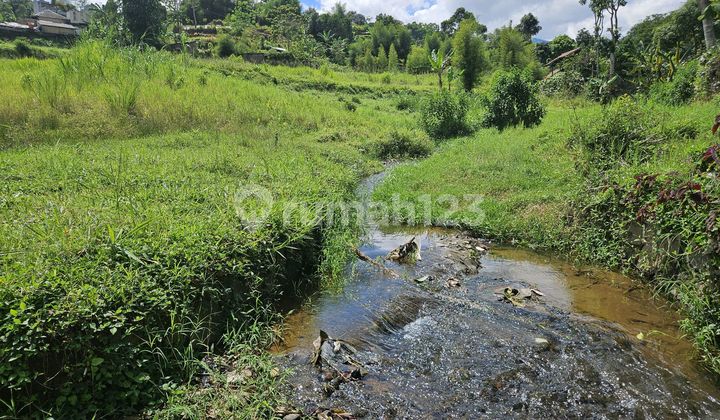 Jual Tanah Kavling Di Puncak Cisaria Megamendung Bogor