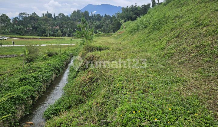 Tanah Datar Siap Bangun Dekat Coffe Munjul Megamendung Tanah Datar Siap Bangun Dekat Coffe Munjul Megamendung