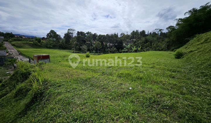 Tanah Dijual Luas 660M2 di Megamendung Puncak Dekat Coffe Munjul