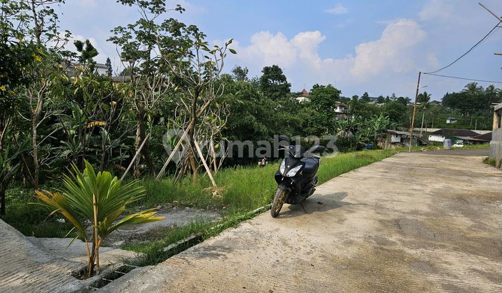 Tanah Siap Bangun Dekat Kali Di Megamendung Puncak Tanah Siap Bangun Dekat Kali Di Megamendung Puncak