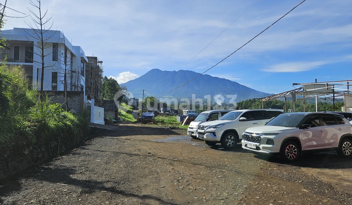 Selling Sultan Warudyong Land Plots in Megamendung Puncak