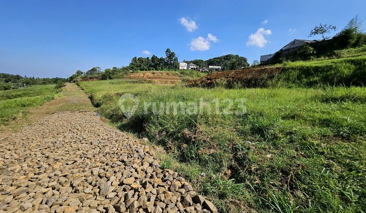 Tanah Dijual View Perkebunan dan Perbukitan di Citeko Cisarua Tanah Dijual View Perkebunan dan Perbukitan di Citeko Cisarua