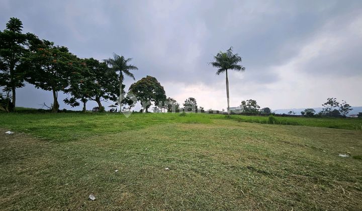 Tanah Dijual Dekat Hotel Greend Peak Lewimalang Cisarua