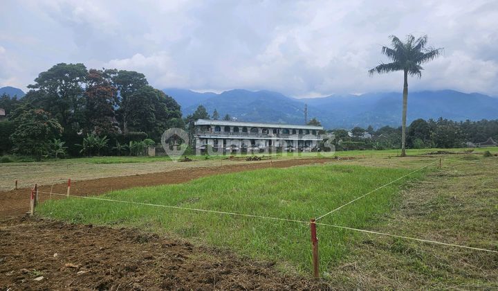 Jual Tanah Strategis Dekat Jl Raya Utama Cisarua Puncak Jual Tanah Strategis Dekat Jl Raya Utama Cisarua Puncak