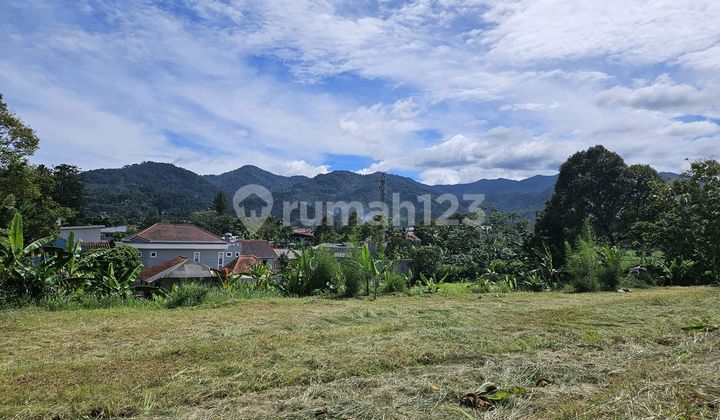 Selling Land Near Puncak Highway Close to Cimori Selling Land Near Puncak Highway Close to Cimori