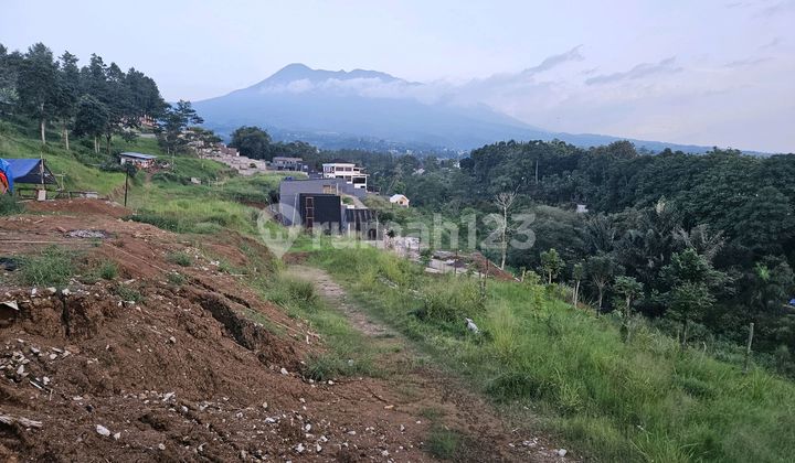 Dijual Tanah Datar Area Villa Di Jl Warudoyong Megamendung Puncak Dijual Tanah Datar Area Villa Di Jl Warudoyong Megamendung Puncak