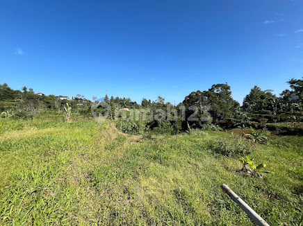 Jual Tanah Siap Bangun Di Cisarua Puncak Megamendung Area Villa Jual Tanah Siap Bangun Di Cisarua Puncak Megamendung Area Villa