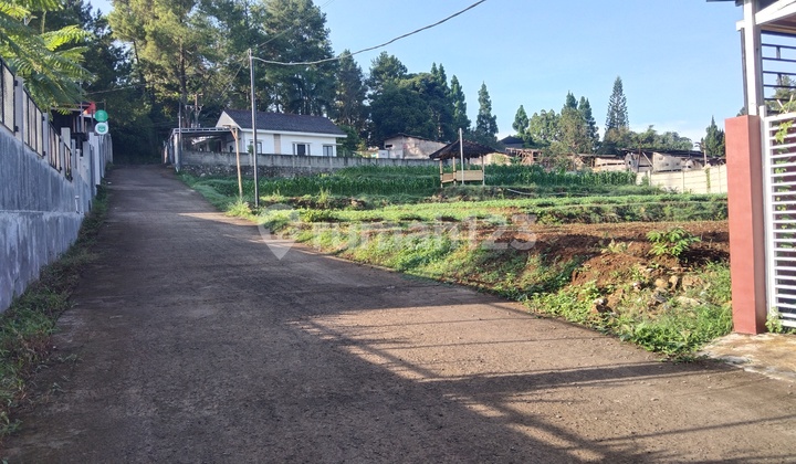 Nearest Toll Villa Plot Gadog Near Jsi Resort