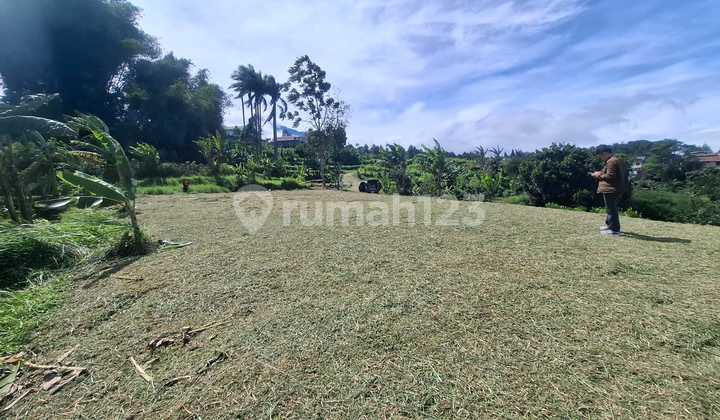 Land for Sale with Flexible Area in Citeko Cisarua Puncak Land for Sale with Flexible Area in Citeko Cisarua Puncak