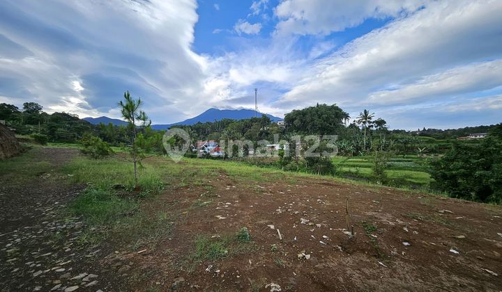 Dijual Tanah Milik SHM di Cisarua Puncak Bogor