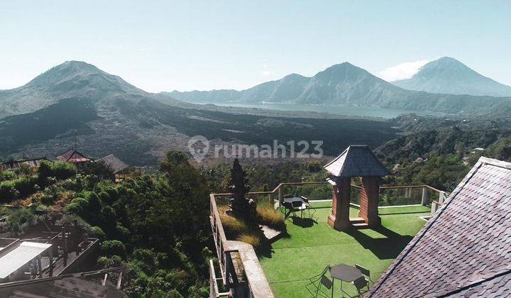 COFFE SHOP MOUNTAIN VIEW DI JL RAYA KINTAMANI BALI 11
