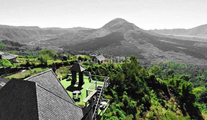 COFFE SHOP MOUNTAIN VIEW DI JL RAYA KINTAMANI BALI 12