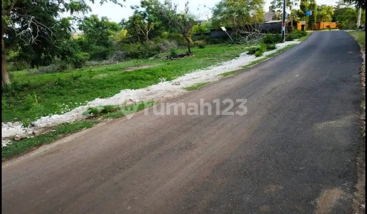 TANAH TERMURAH JL PANTAI BALANGAN JIMBARAN 10