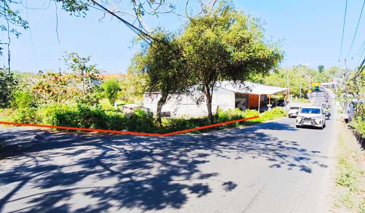 Dijual Tanah Komersial Murah Jl Raya Dharmawangsa Ungasan