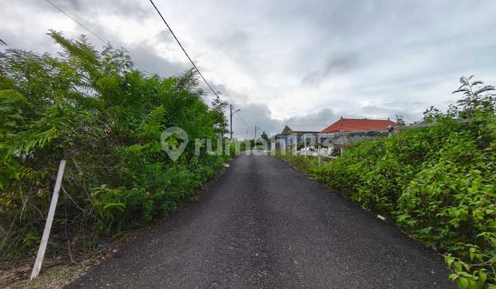 Tanah Strategis Cocok Untuk Villa Jl Gayang Sari Kutuh Tanah Strategis Cocok Untuk Villa Jl Gayang Sari Kutuh