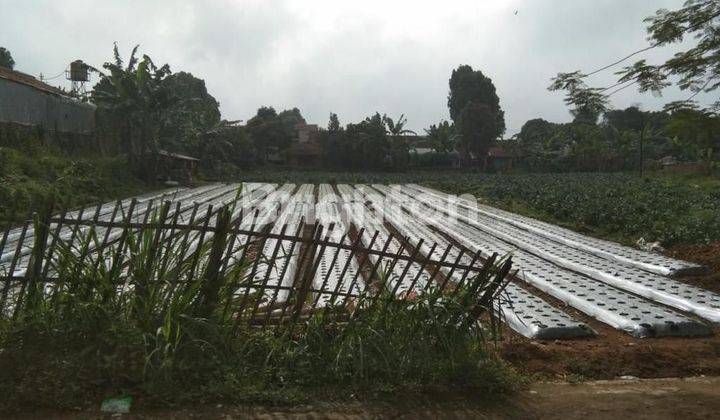 Tanah Luas  Murah di tengah Kota Kab.Bandung Barat 2