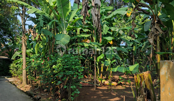 Tanah Siap Bangun di Jatiasih, Bekasiakses Menggunakan Mobil Dekat ke Gerbang Tol Jati Asih Tanah Siap Bangun di Jatiasih, Bekasiakses Menggunakan Mobil Dekat ke Gerbang Tol Jati Asih