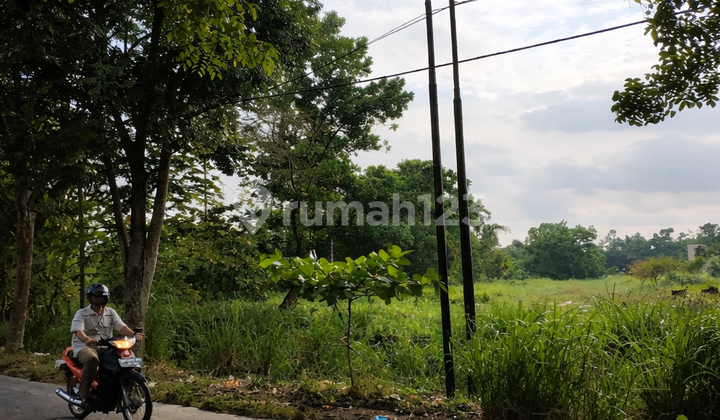Tanah Siap Bangun di Pinggir Jl. Srikandi Pekanbaru, Riau Tanah Siap Bangun di Pinggir Jl. Srikandi Pekanbaru, Riau