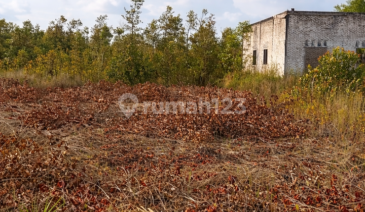 Tanah Strategis 1.000 M² - Area Adonis Samad, Palangkaraya Kalimantan Tengah