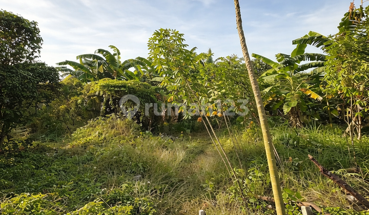 Land in Wonoayu Sidoarjo, accessible by car. Very suitable for building a residence.