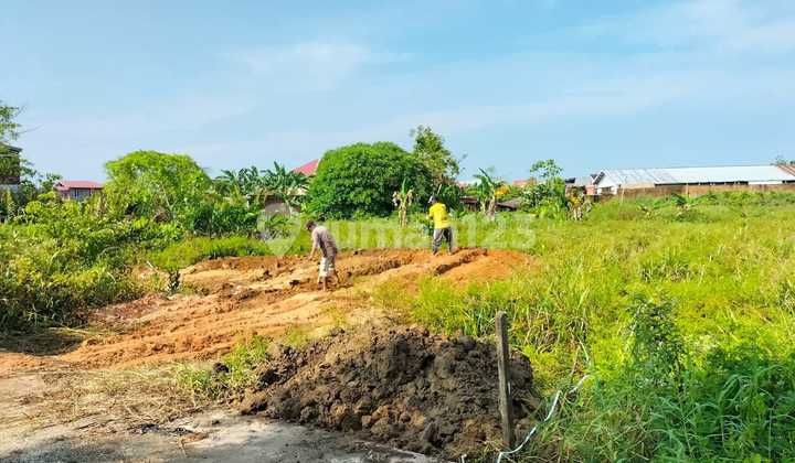 Land for Sale Ready to Build in Sorong Papua, Easy Car Access Very Close to Seo Airport
