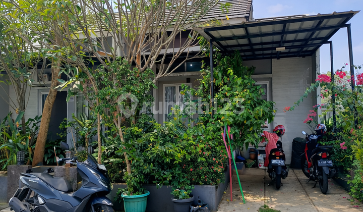 2-Bedroom House in Sweet Alba Cluster, Block Sa 15 No. 6, Harvest City, Setu, West Java. Strategic Location Close to Shopping Center.