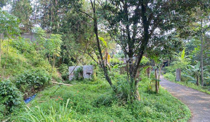 Tanah Kebun di Tajur Halang Cijeruk, Bogor SHM 6.800 m² 2