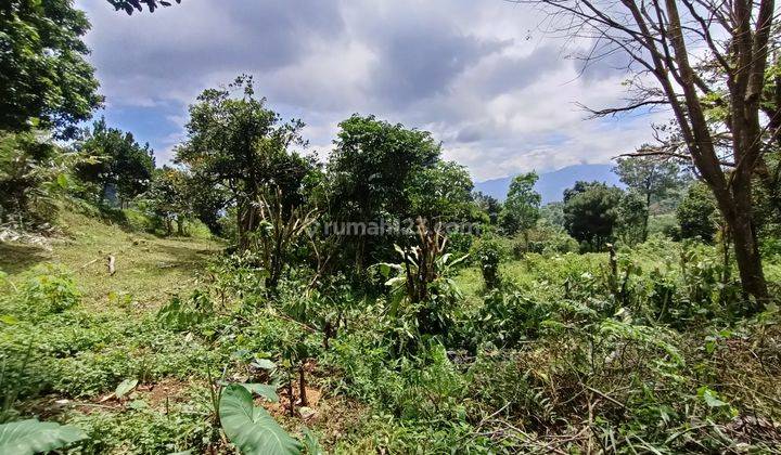 Tanah dekat kota bogor lokasi Strategis  1